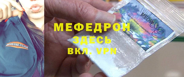 spice Дмитриев