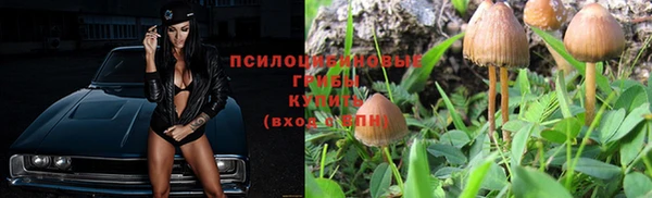 spice Дмитриев