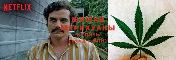 ПСИЛОЦИБИНОВЫЕ ГРИБЫ Дмитровск
