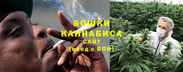 spice Дмитриев