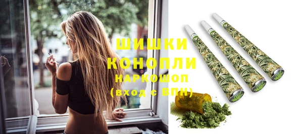 spice Дмитриев