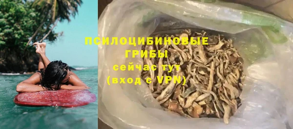бошки Ельня