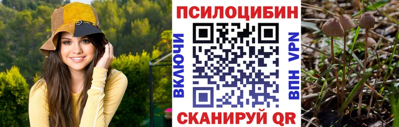 Псилоцибиновые грибы MAGIC MUSHROOMS  Купить  Киреевск 